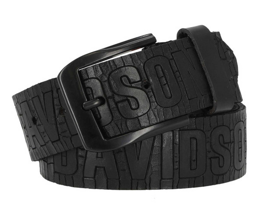 Men's Cracked Earth Raised H-D Logo Belt - Black